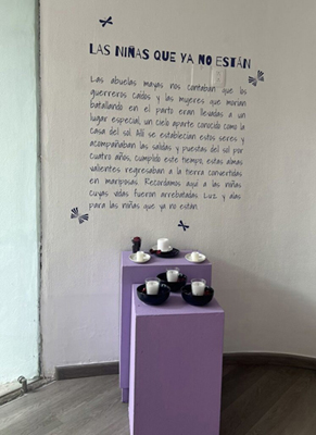 Foto 3. Las niñas que no están