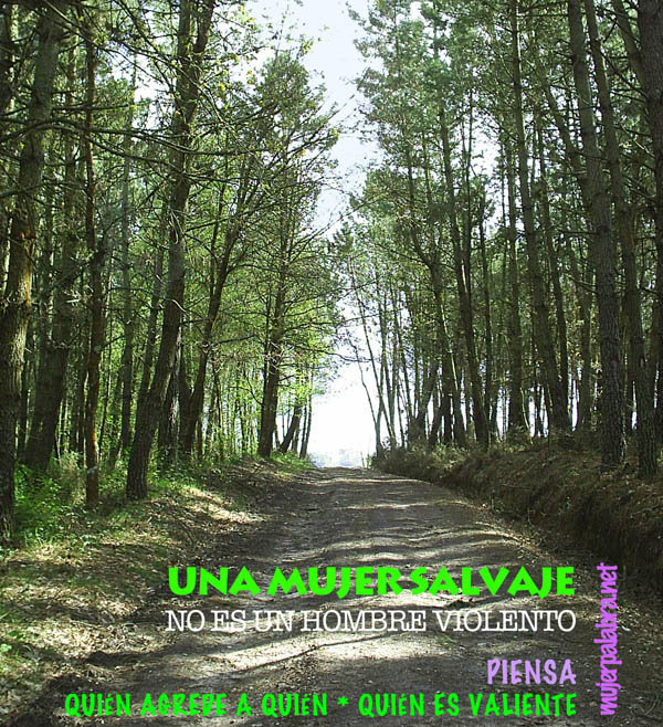 Una mujer salvaje no es un hombre violento
